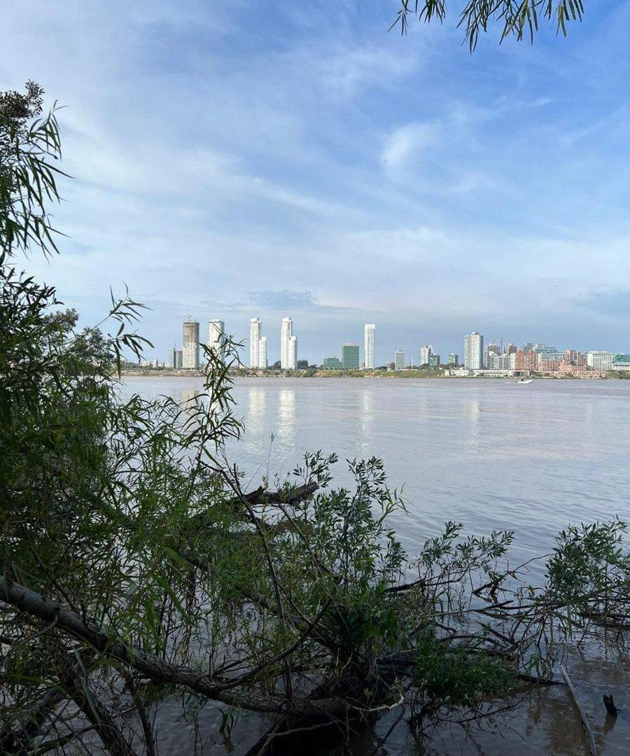 Foto de TERRENO EN VENTA SOBRE COSTA RIO PARANA, imagen 1