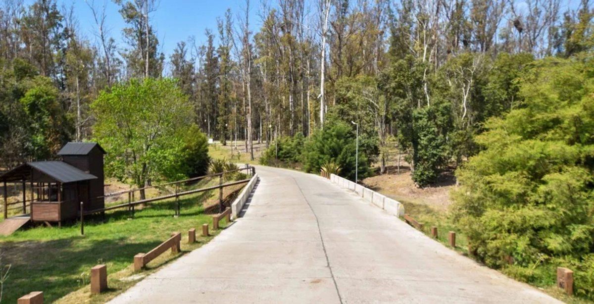 Foto de LOTE DE TERRENO EN VENTA EN CAMPO TIMBÓ, imagen 3