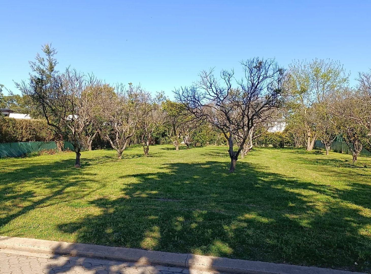 Foto de LOTE EN VENTA EN AZAHARES DEL PARANA S/ BOULEVARD, imagen 2