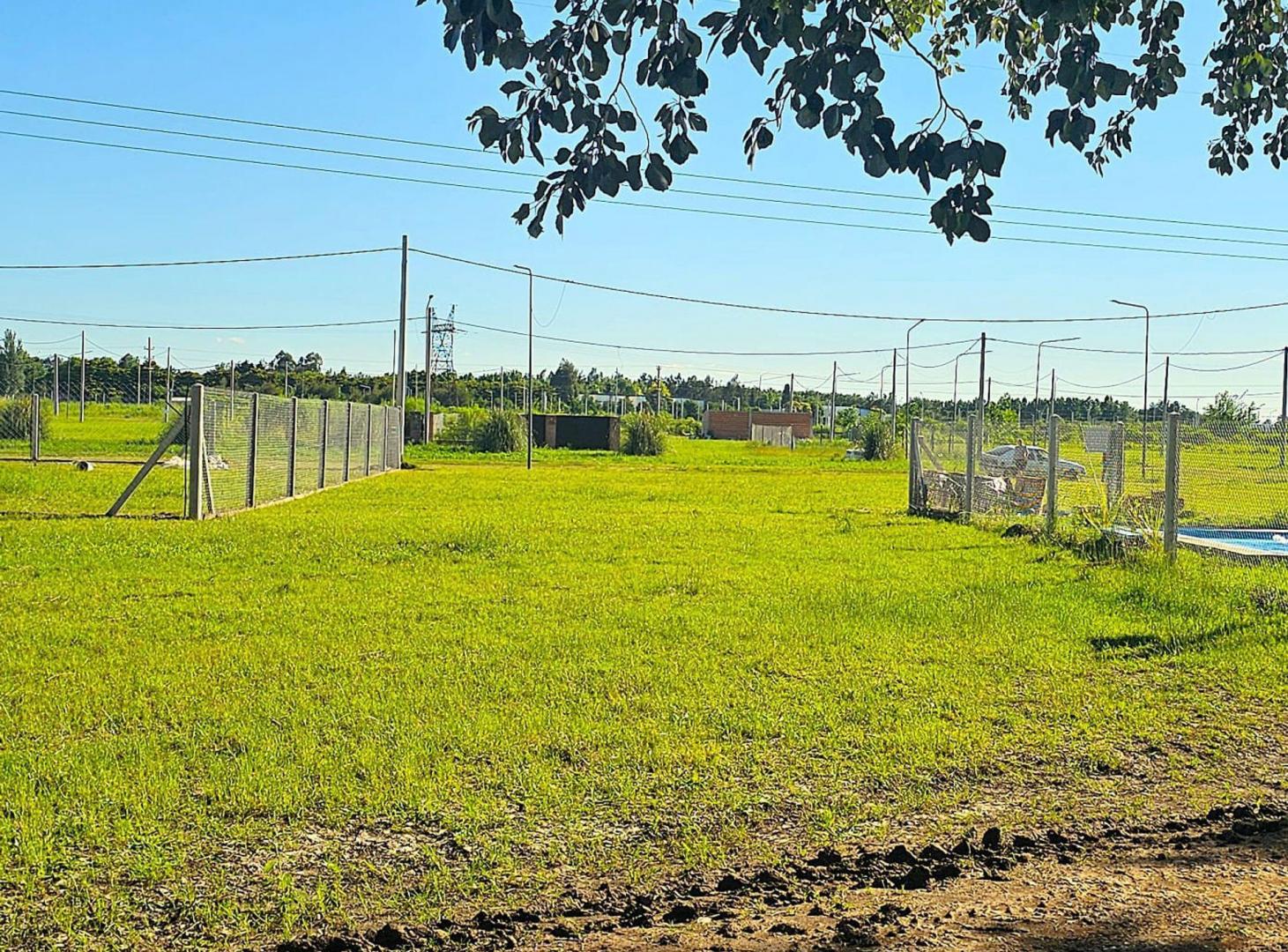 Foto de Venta Lote Palo Alto - Alvear, Santa Fe, imagen 4