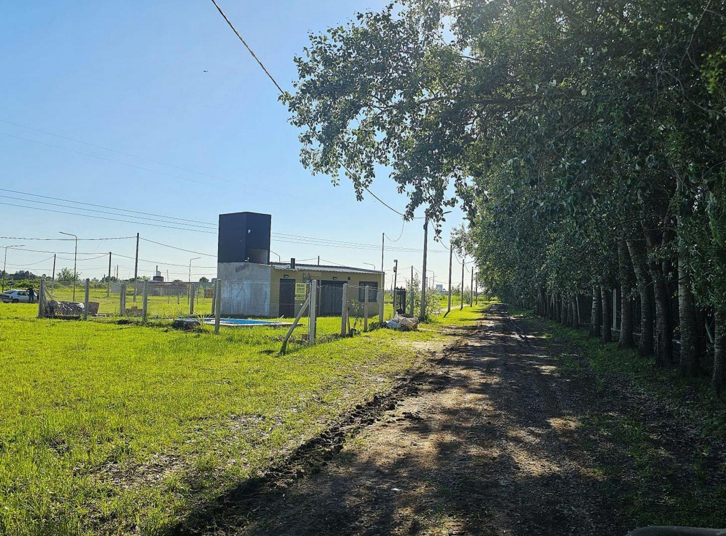 Foto de Venta Lote Palo Alto - Alvear, Santa Fe, imagen 1