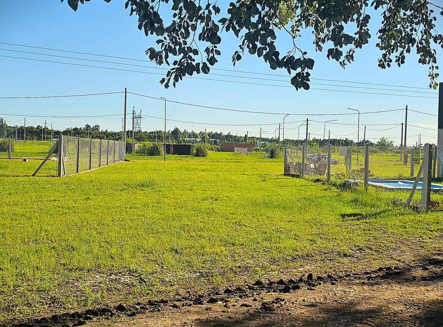 Foto de Venta Lote Palo Alto - Alvear, Santa Fe, imagen 2