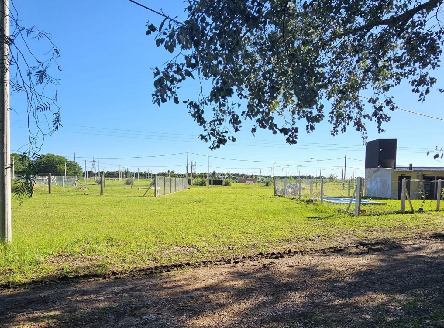Foto de Venta Lote Palo Alto - Alvear, Santa Fe, imagen 3