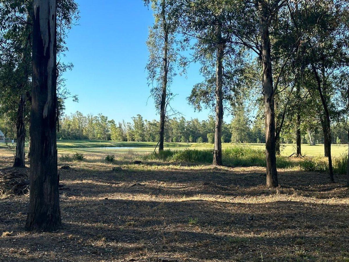 Foto de LOTE C60 VENTA CAMPO TIMBÓ , TOTALMEMT. FINANCIADO, imagen 1