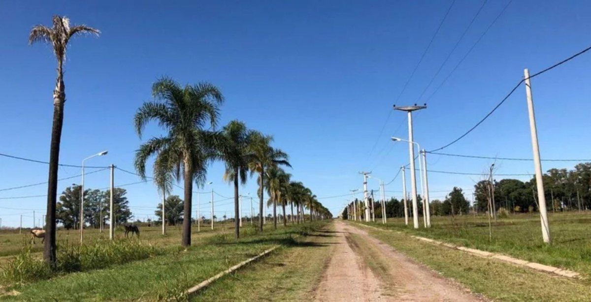 Foto de VENTA LOTE EN TIERRA DE SUEÑOS CASILDA, imagen 1