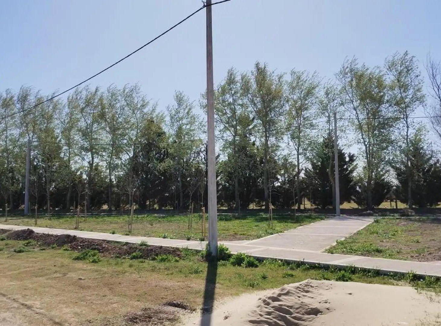 Foto de LOTE EN VENTA BARRIO PALO ALTO - PUEBLO ESTHER, imagen 2