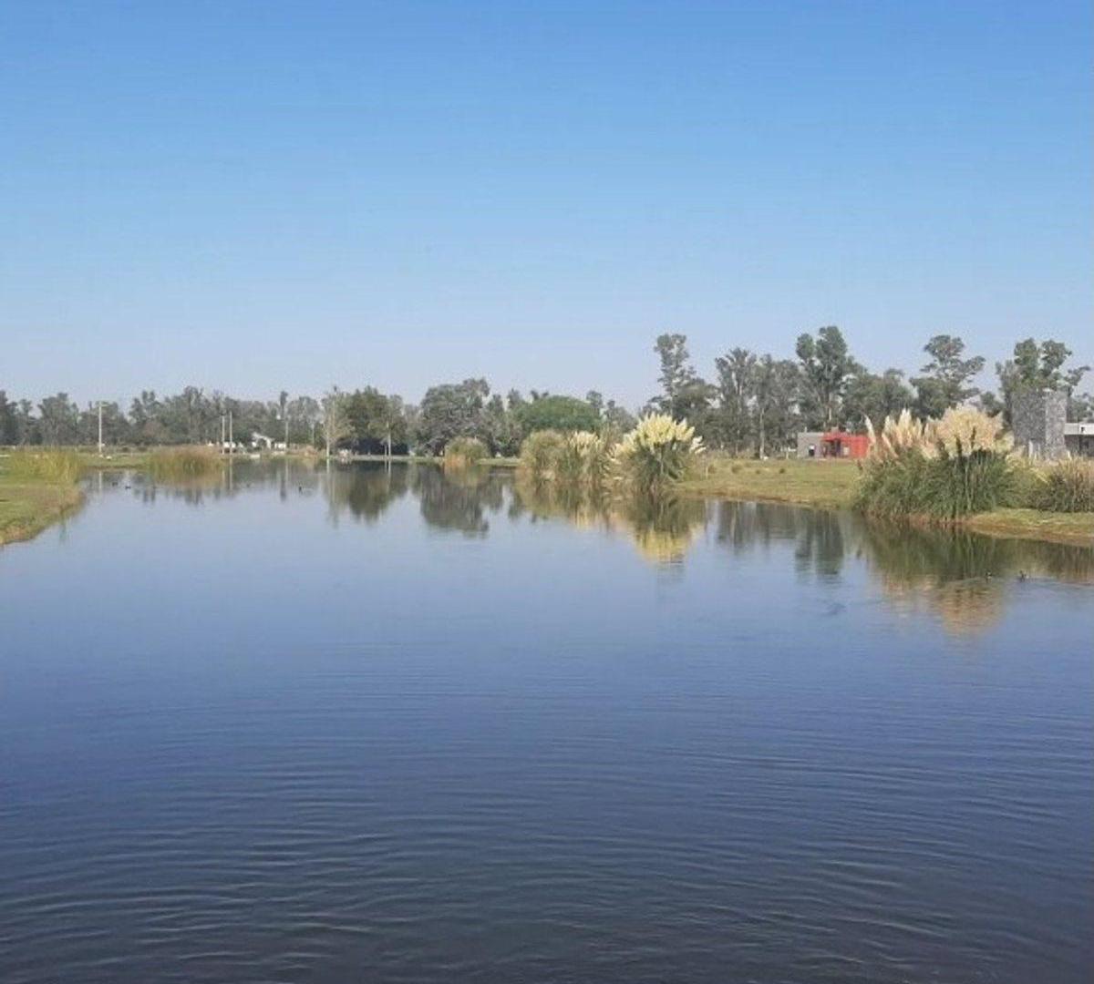 Foto de TERRENO EN VENTA CHACRAS DEL RINCON 3000 M2, imagen 4