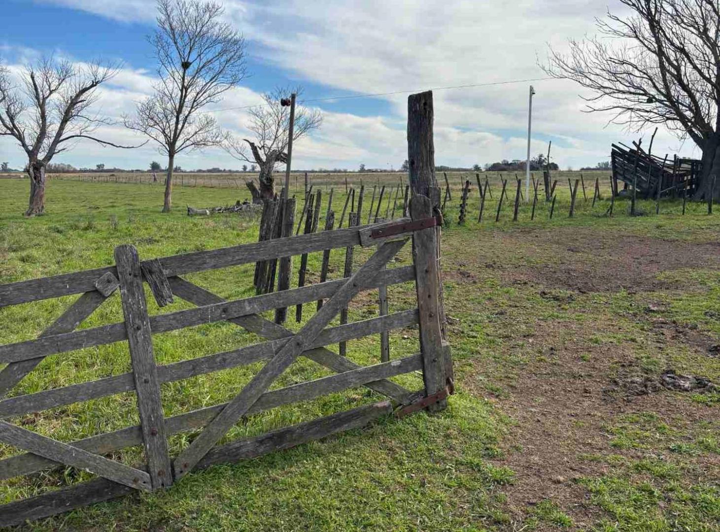 Foto de CAMPO EN VENTA 52 HECTAREAS FIGHIERA, imagen 3