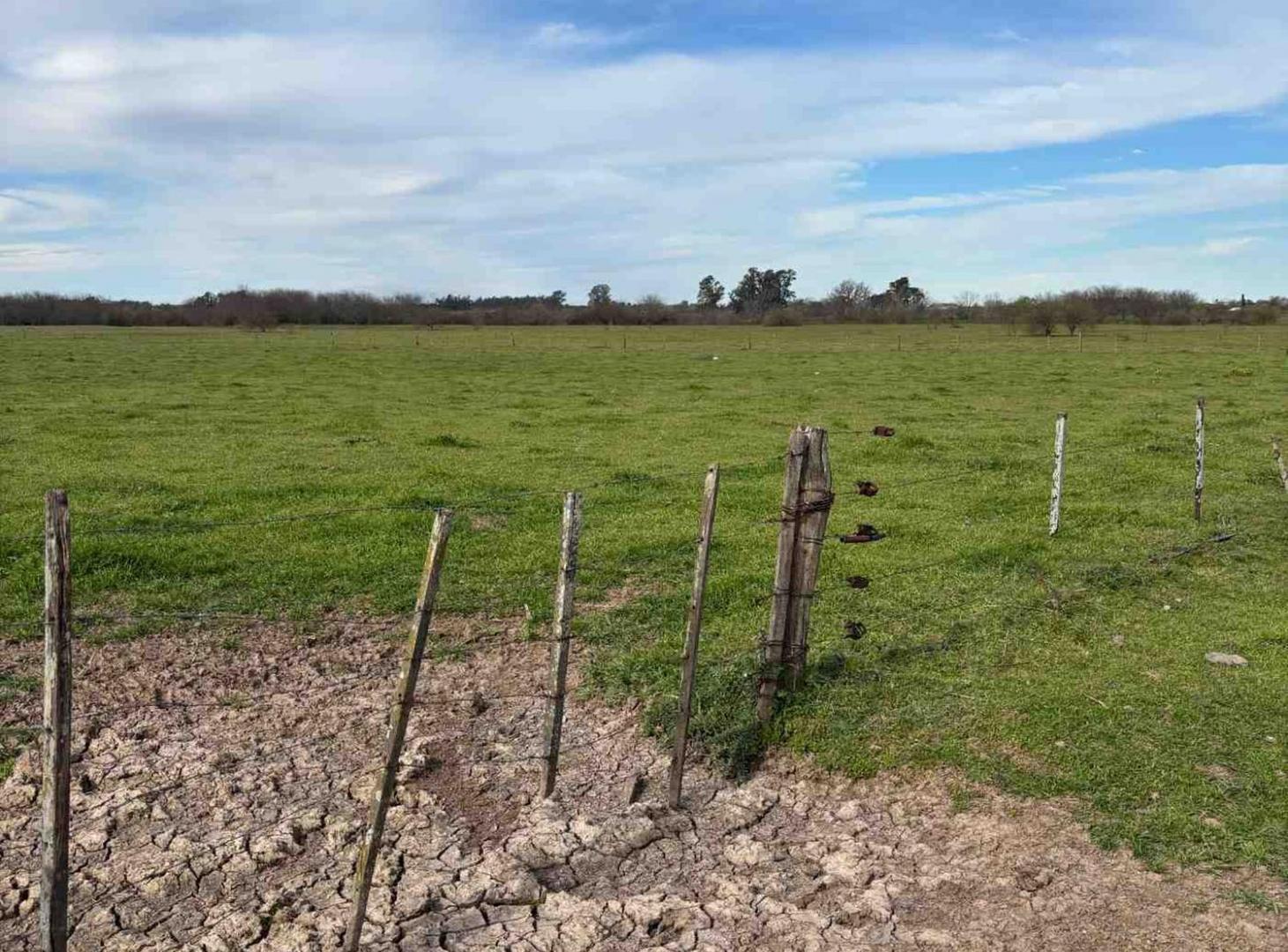 Foto de CAMPO EN VENTA 52 HECTAREAS FIGHIERA, imagen 1
