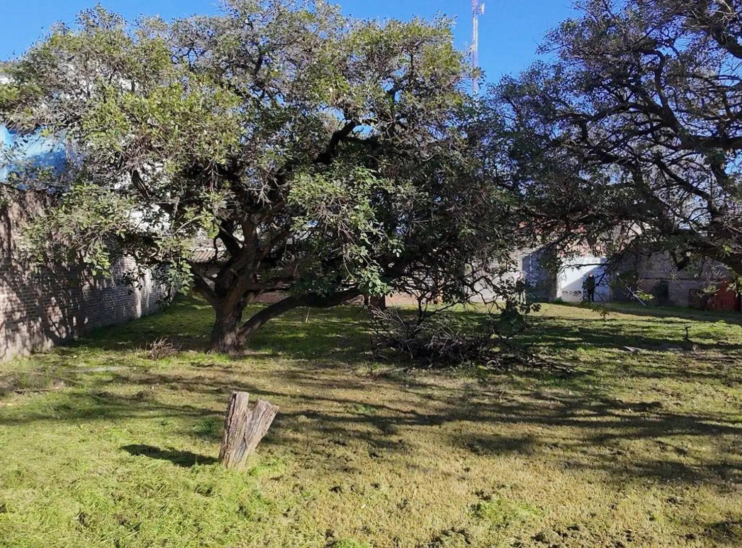 Foto de TERRENO EN VENTA BARRIO JORGE CURA, imagen 3