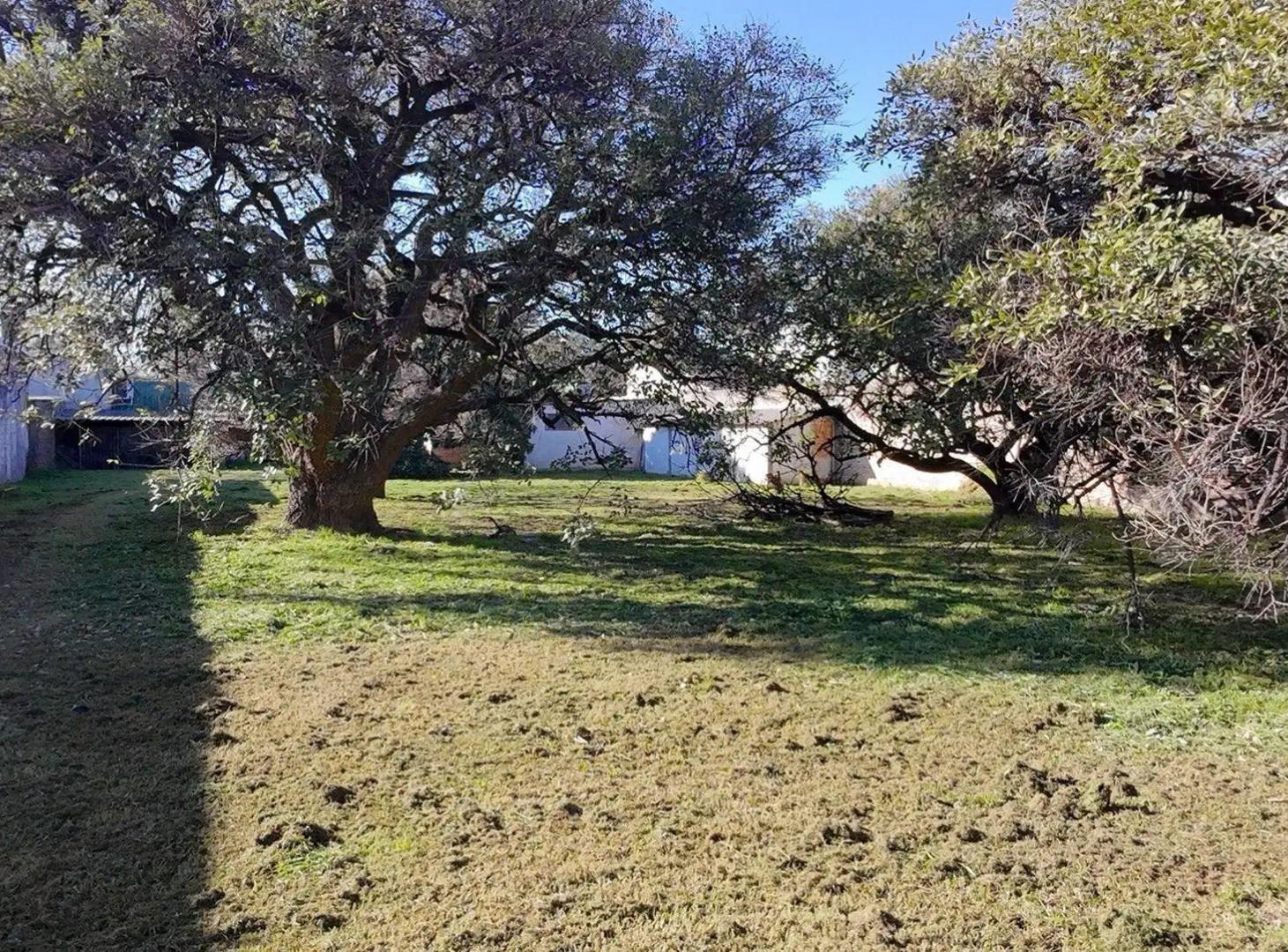 Foto de TERRENO EN VENTA BARRIO JORGE CURA, imagen 4
