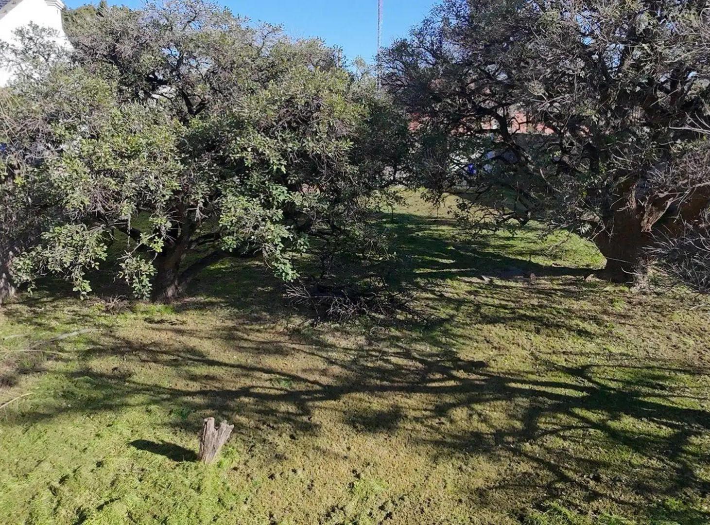 Foto de TERRENO EN VENTA BARRIO JORGE CURA, imagen 5