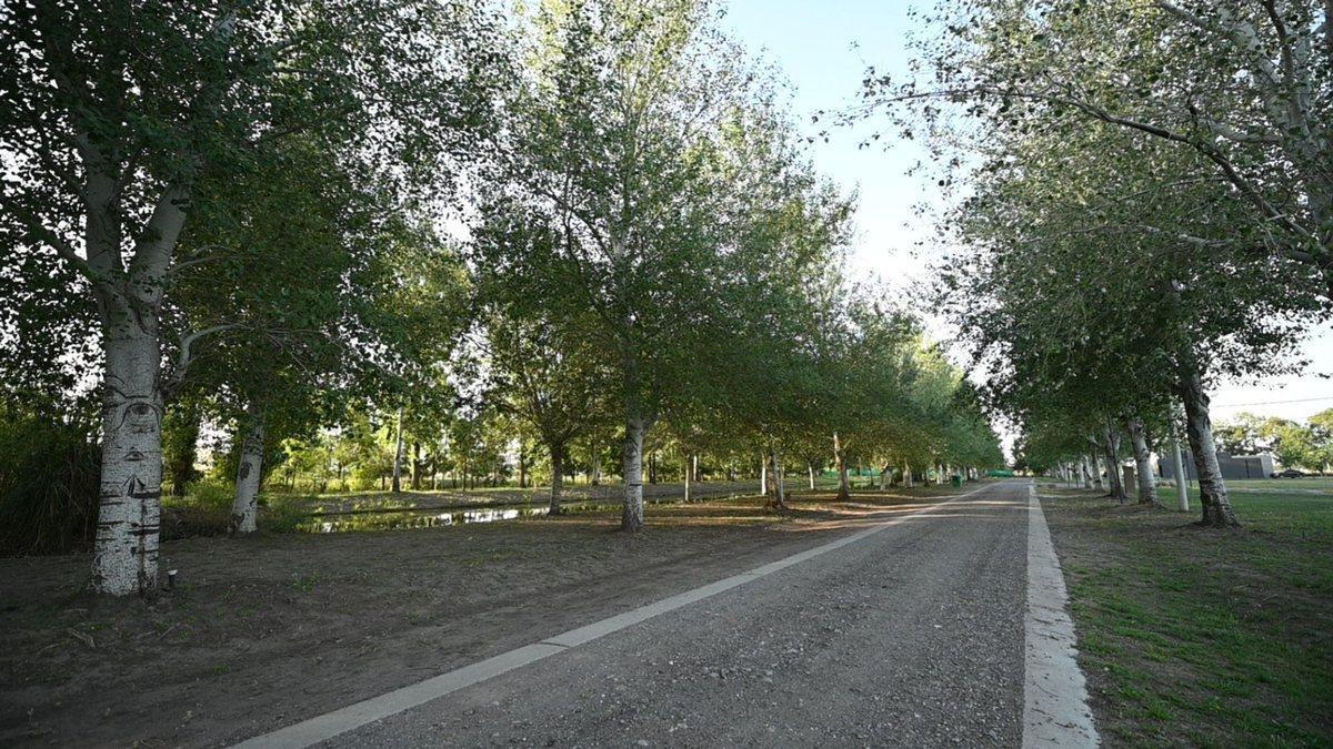 Foto de LOTES EN VENTA EN BARRIO PRIVADO PINARES DEL SUR, imagen 5
