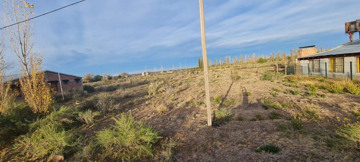 Venta Terreno 2.000 m Las Paredes San Rafael 1