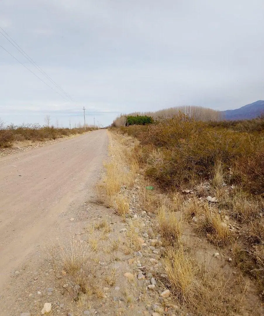 VENTA TERRENO DE 2,5Ha, PAREDITAS, SAN CARLOS MZA 4