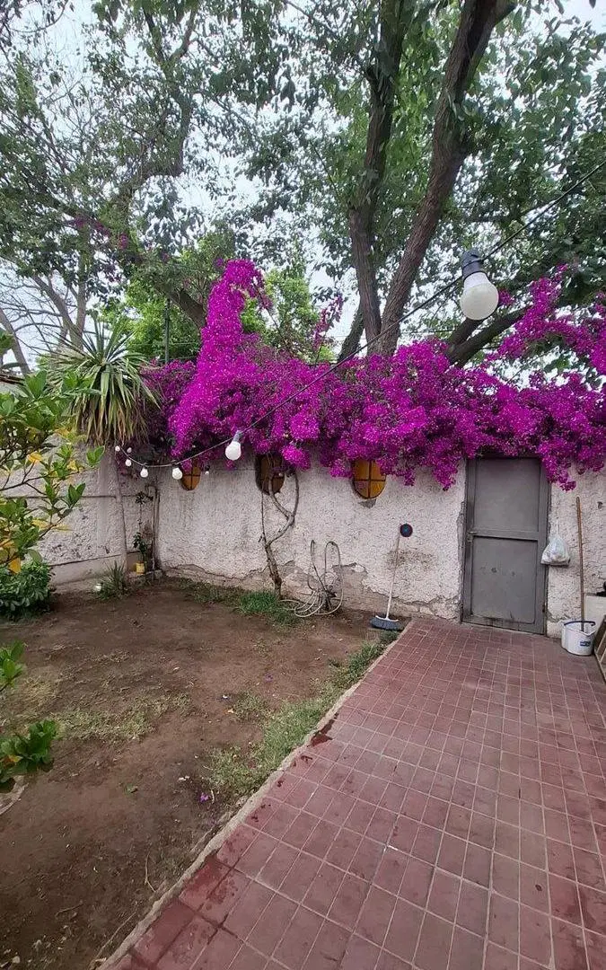 Casa en venta de 3 dormitorios, Godoy Cruz 5