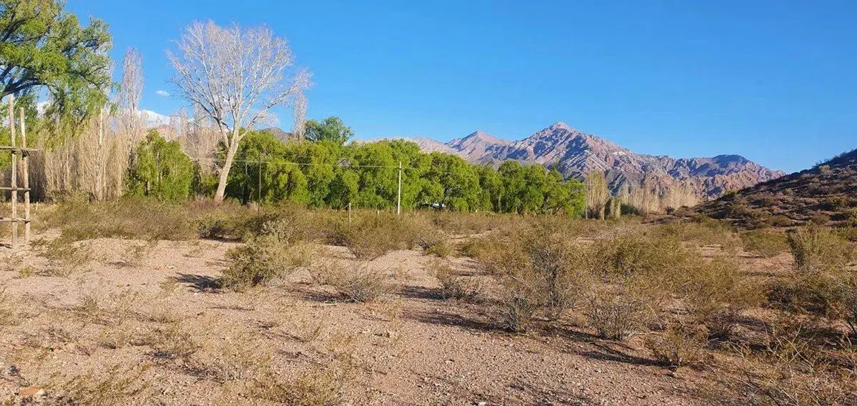 OPORTUNIDAD DE INVERSIÓN CAMPO ZONA CORDILLERANA 4