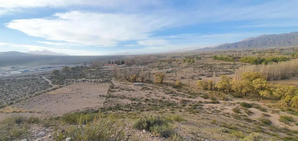 OPORTUNIDAD DE INVERSIÓN CAMPO ZONA CORDILLERANA 5