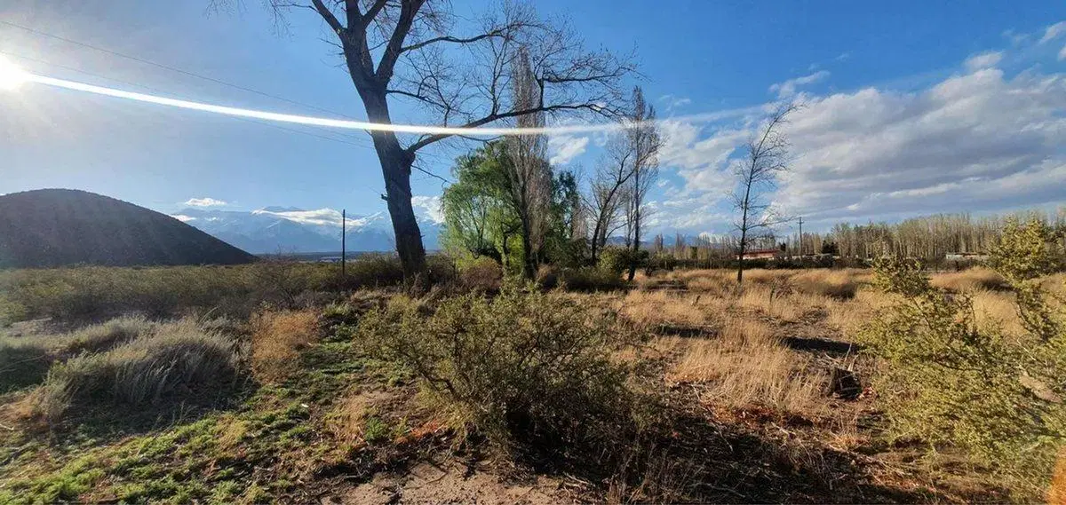 OPORTUNIDAD DE INVERSIÓN CAMPO ZONA CORDILLERANA 3