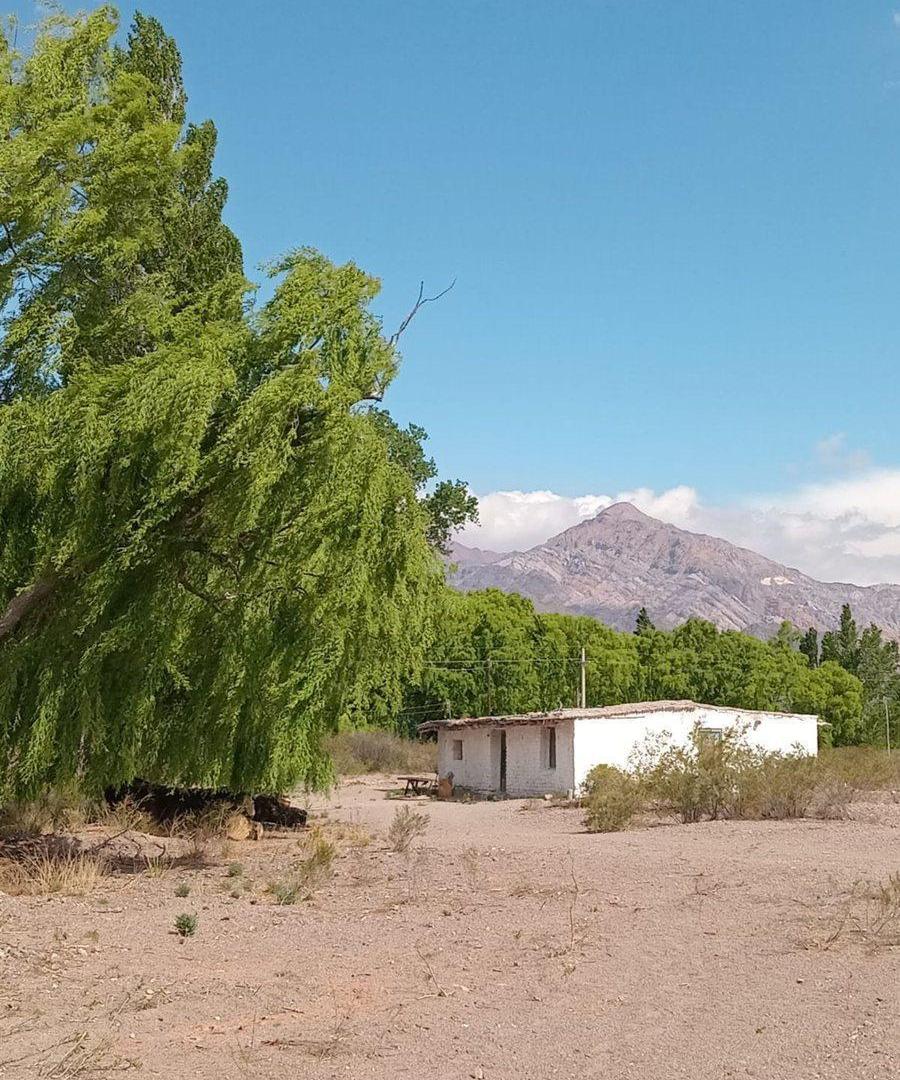OPORTUNIDAD DE INVERSIÓN CAMPO ZONA CORDILLERANA