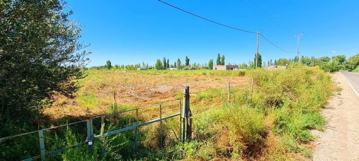 TERRENO 12.500 M2 SALTO DE LAS ROSAS - SAN RAFAEL 3
