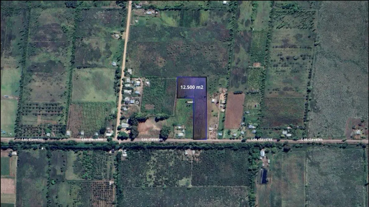 TERRENO 12.500 M2 SALTO DE LAS ROSAS - SAN RAFAEL 2