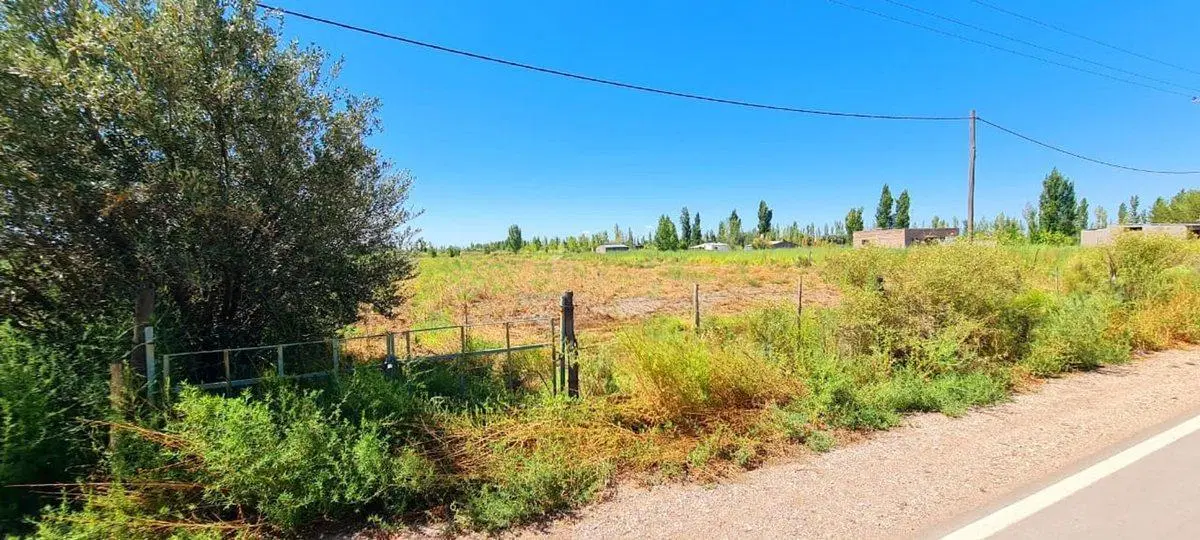 TERRENO 12.500 M2 SALTO DE LAS ROSAS - SAN RAFAEL 5