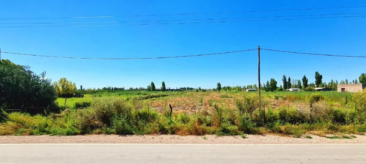 TERRENO 12.500 M2 SALTO DE LAS ROSAS - SAN RAFAEL 4