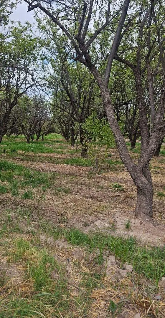 Terreno en Venta en Zona Industrial, Maipú 5