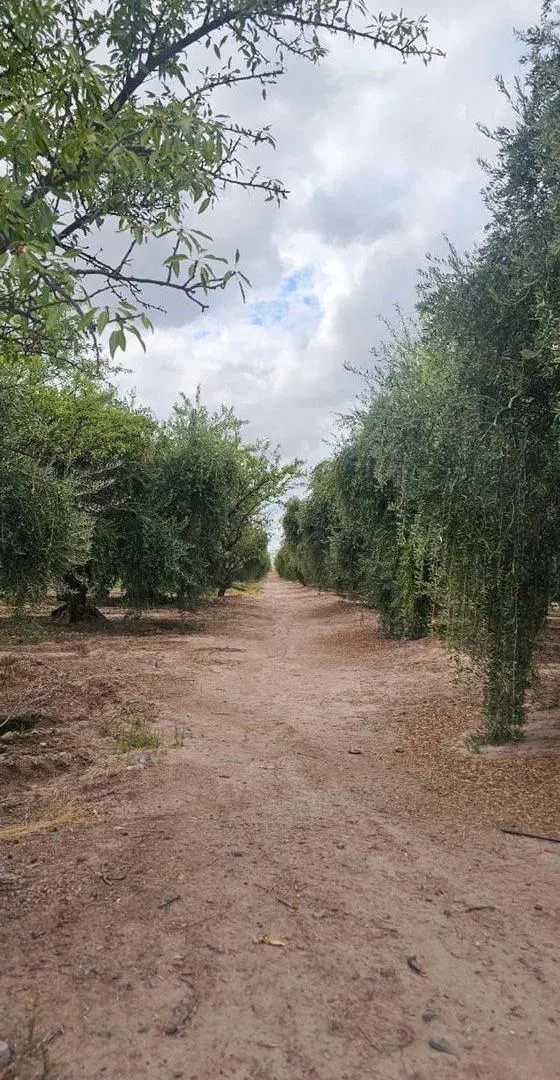 Terreno en Venta en Zona Industrial, Maipú 2