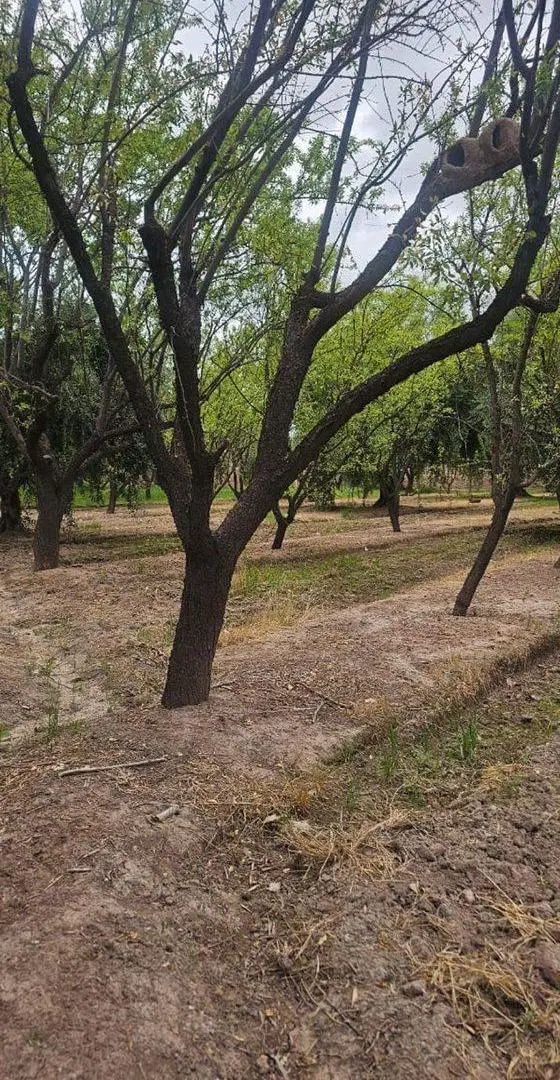 Terreno en Venta en Zona Industrial, Maipú 3