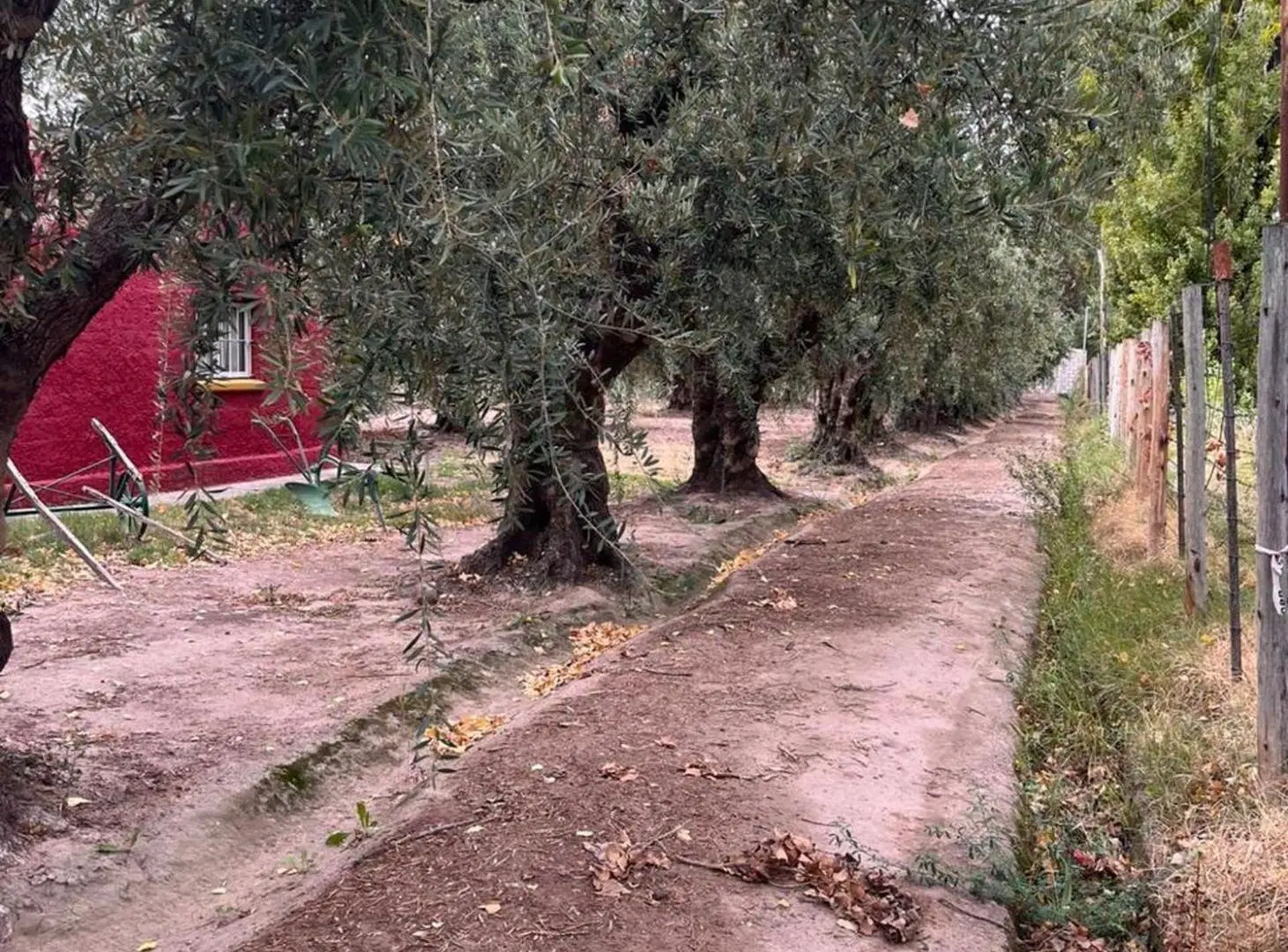 QUINTA EN VENTA 4