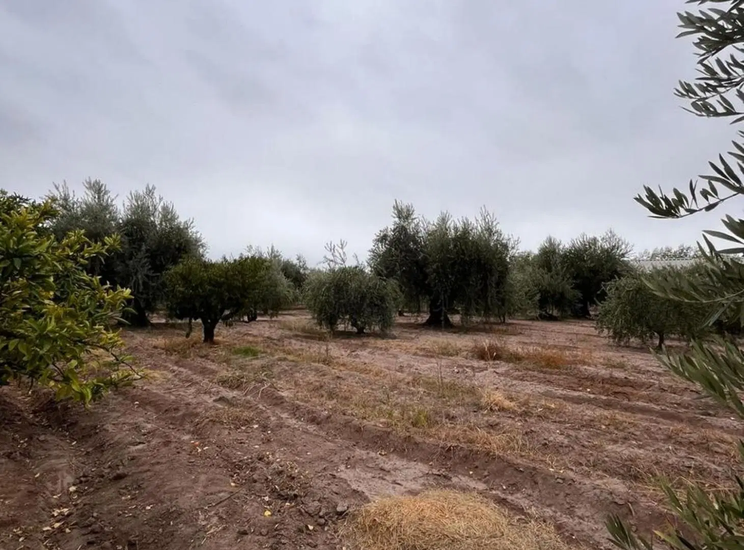 QUINTA EN VENTA 3