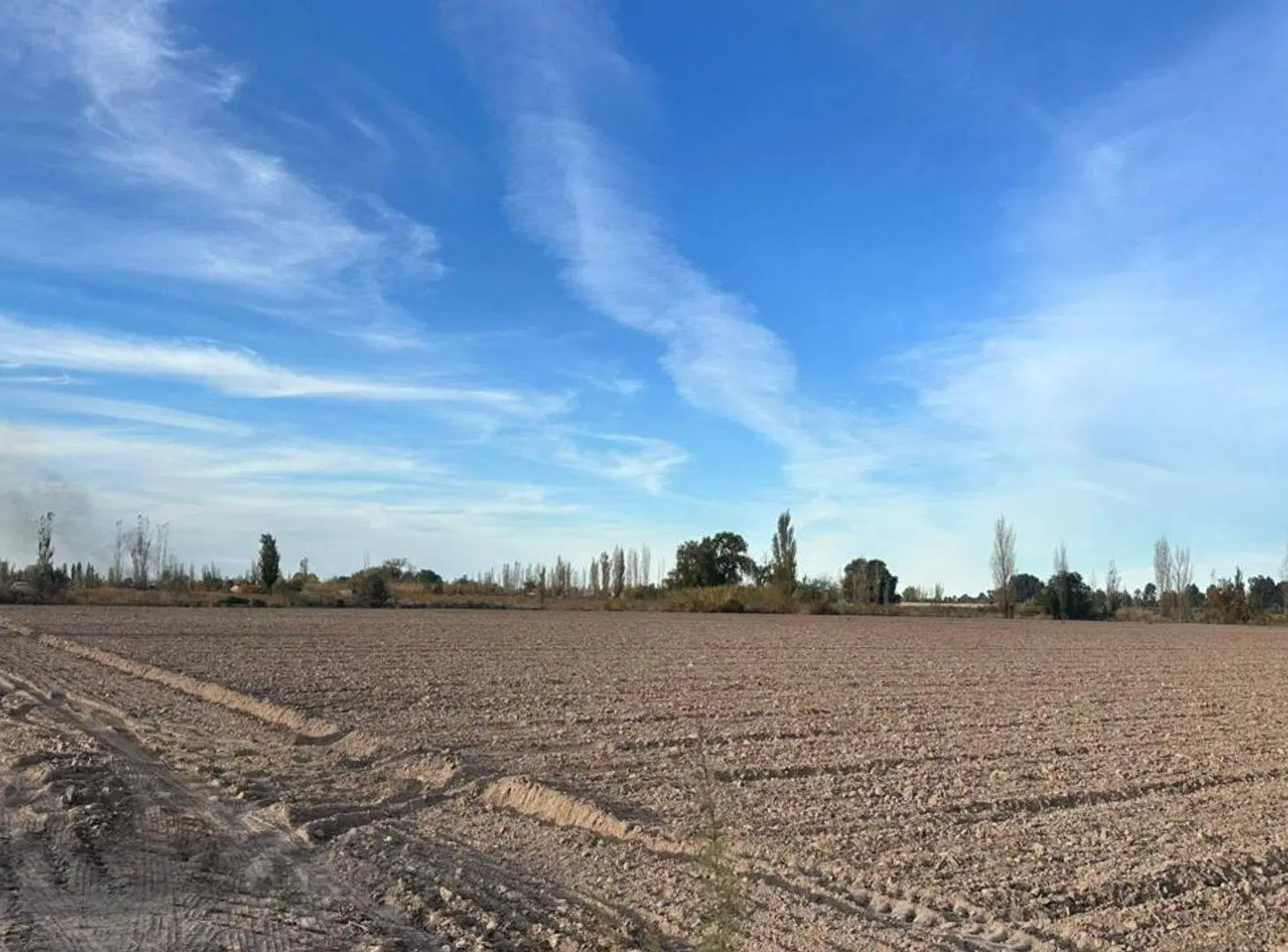 VENTA LOTE DE 2600m2 S/ CALLE MITRE A MTS DE SERPA 5