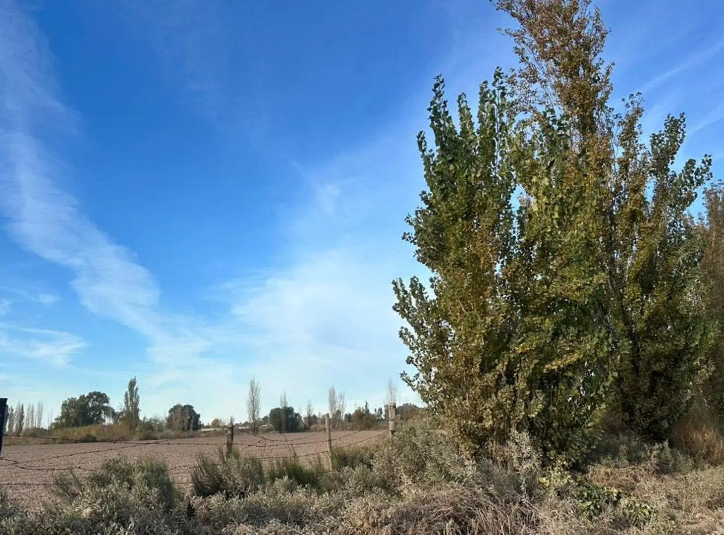 VENTA LOTE DE 2600m2 S/ CALLE MITRE A MTS DE SERPA 2