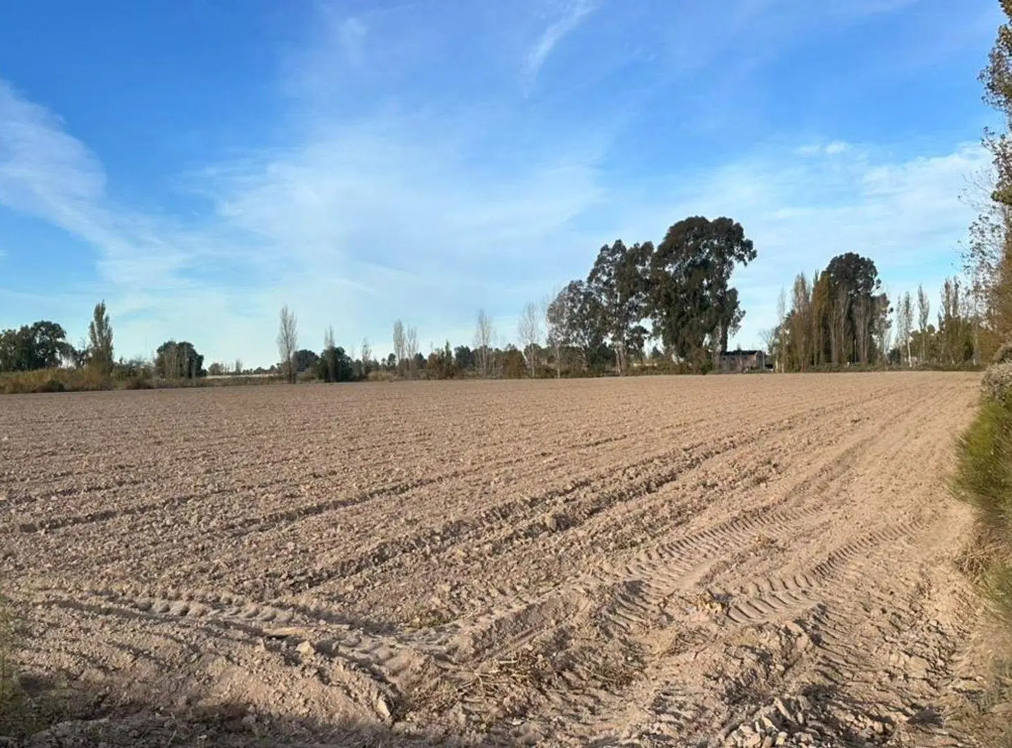 VENTA LOTE DE 2600m2 S/ CALLE MITRE A MTS DE SERPA 3
