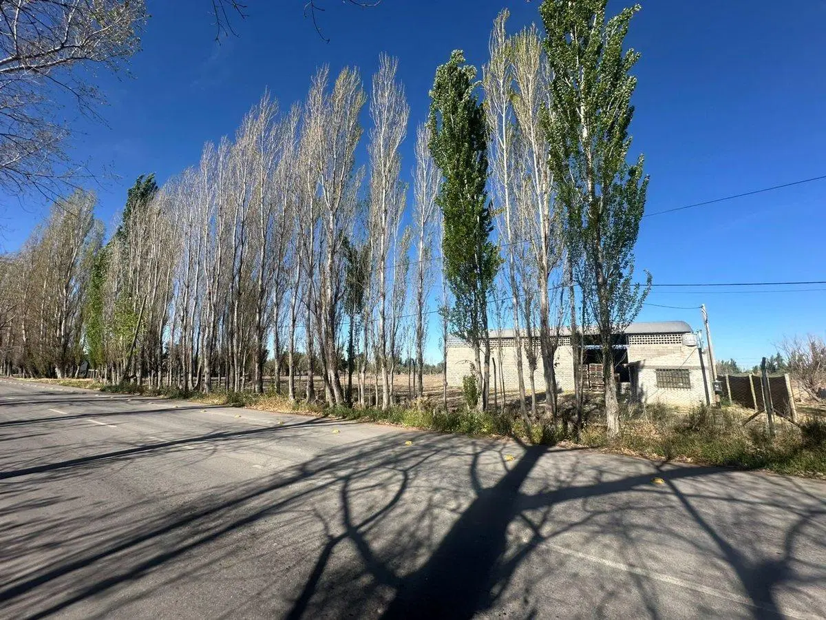 VENTA DE GALPON 400 m2 SOBRE CALLE SERPA 2
