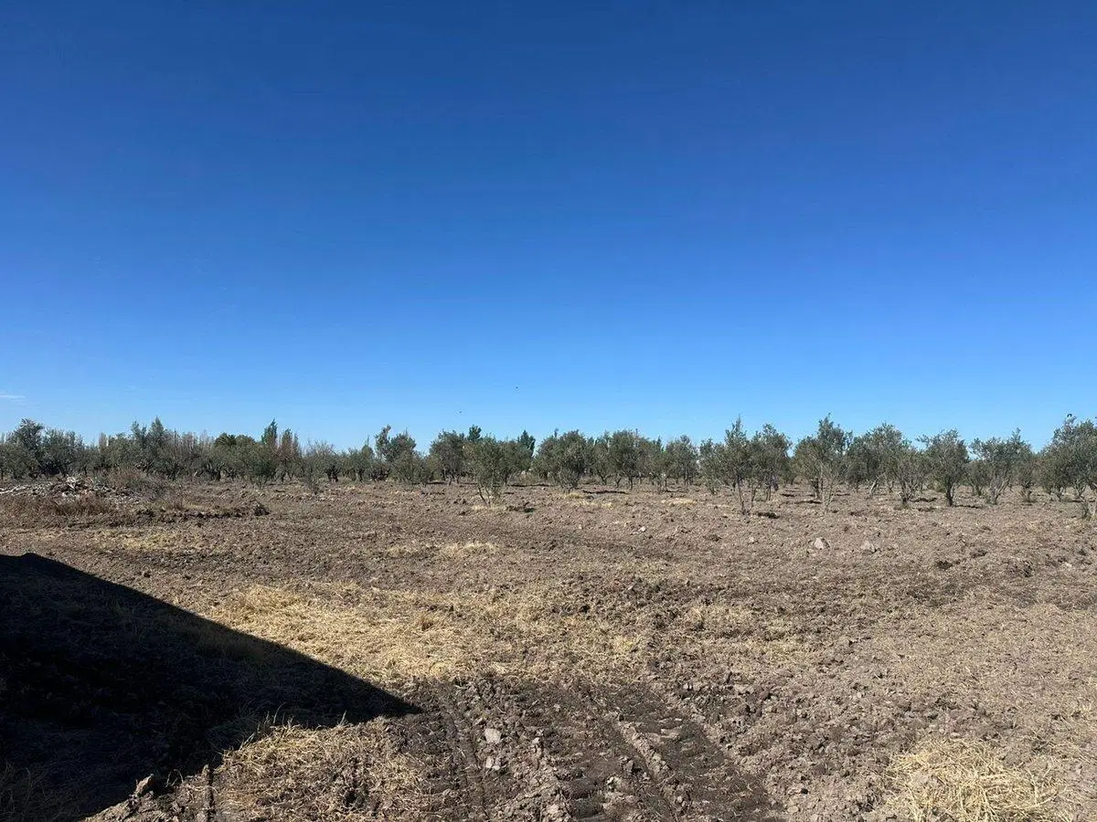 VENTA DE GALPON 400 m2 SOBRE CALLE SERPA 4