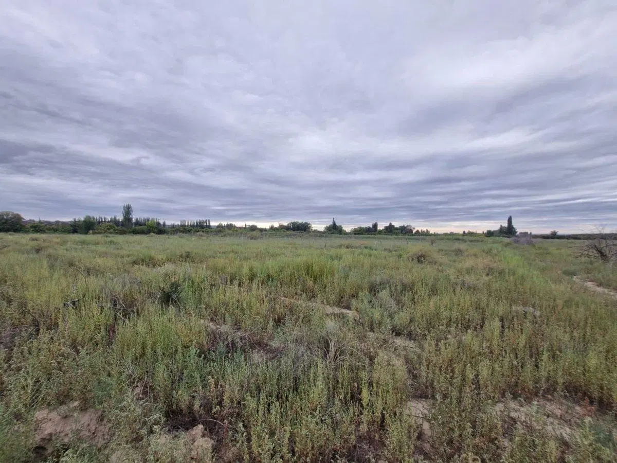 LOTE EN VENTA EN TUPUNGATO LA ARBOLEDA 2