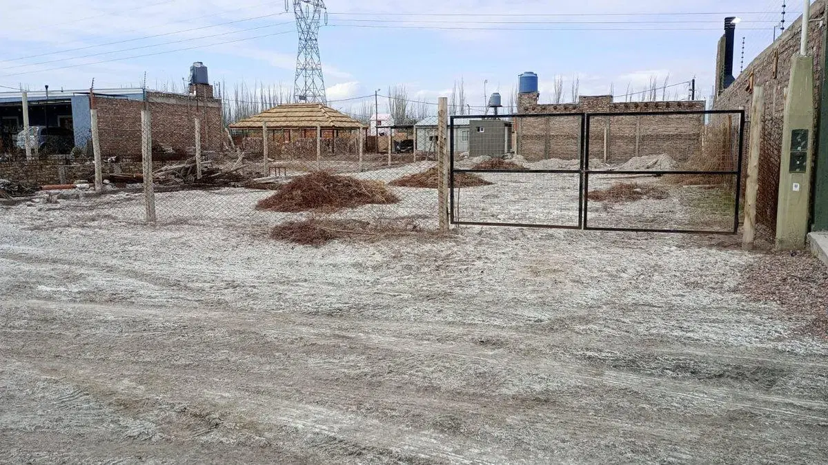 venta lote 5