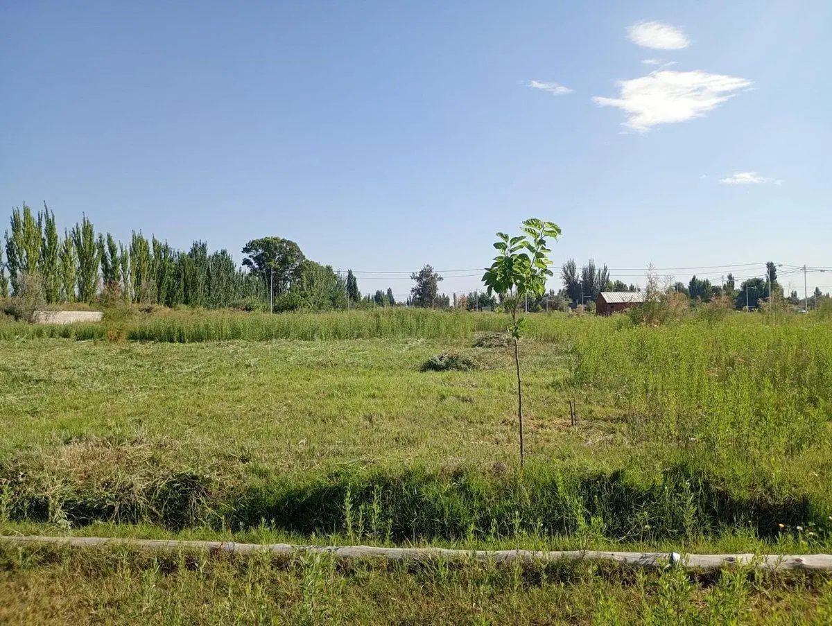 LOTE EN VENTA BARRIO PRIVADO BENEVENTO CORRALITOS 2