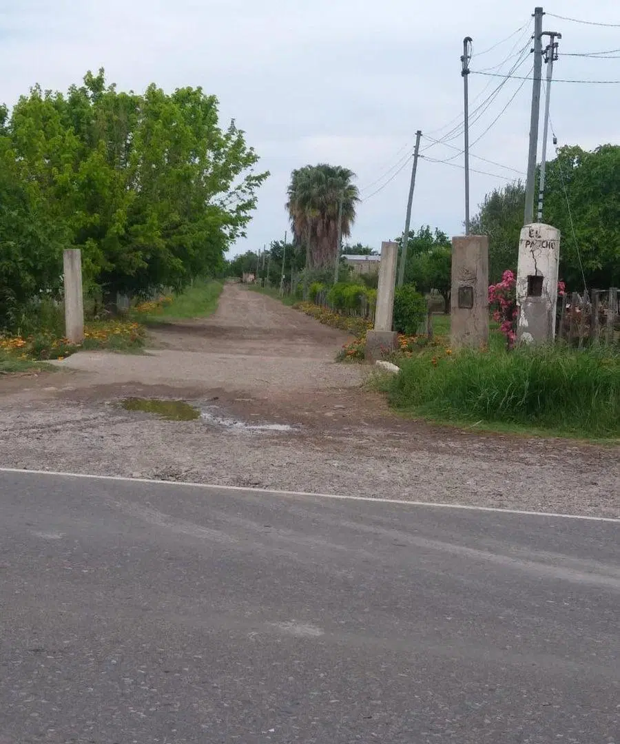 VENTA CAMPO AGRICOLA - CAÑADA SECA -SAN RAFAEL 4