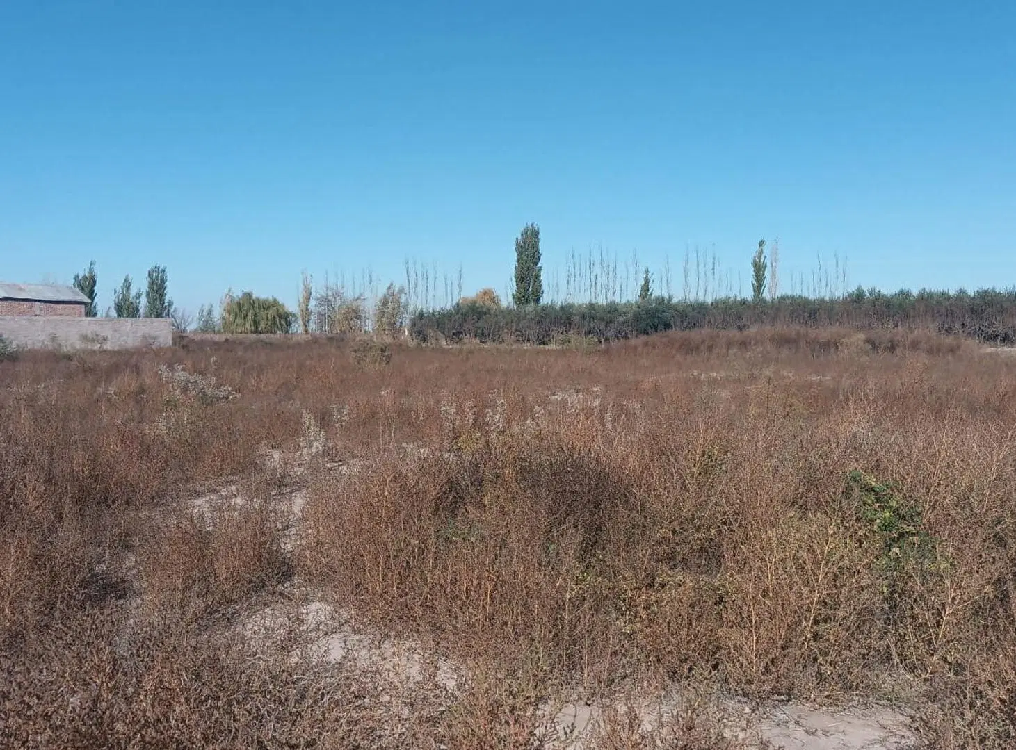 GRAN LOTE  EN VENTA 3