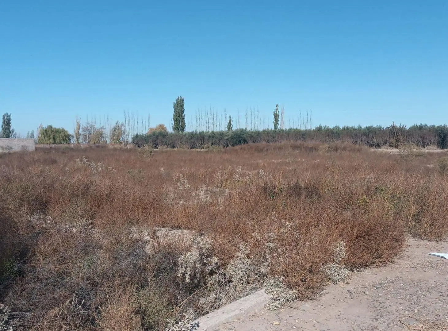 GRAN LOTE  EN VENTA 4