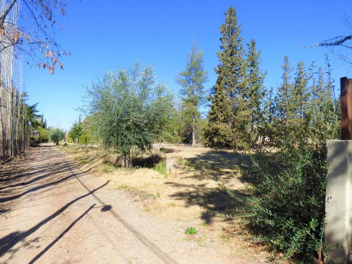 Terreno en venta en Vistalba 4