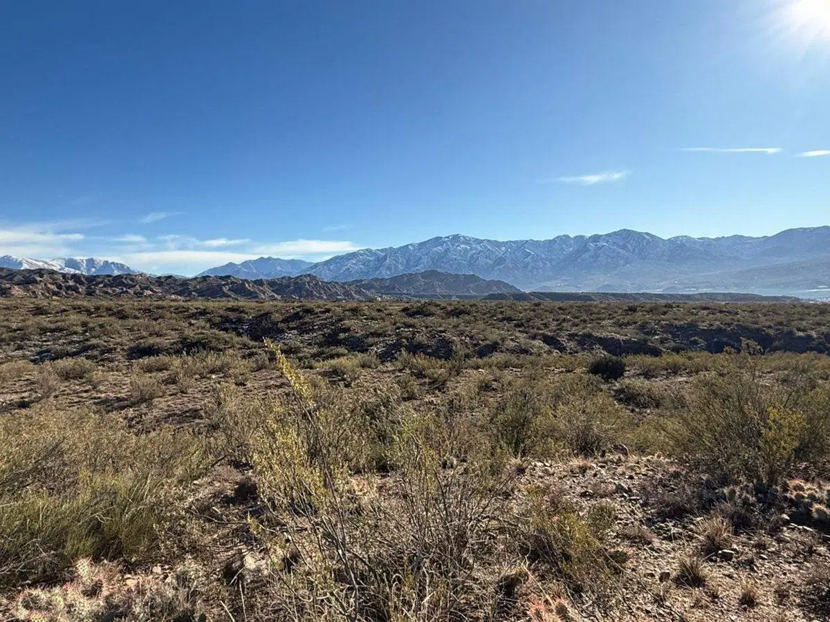 Venta lote 12500 mts en Potrerillos con Escritura 5
