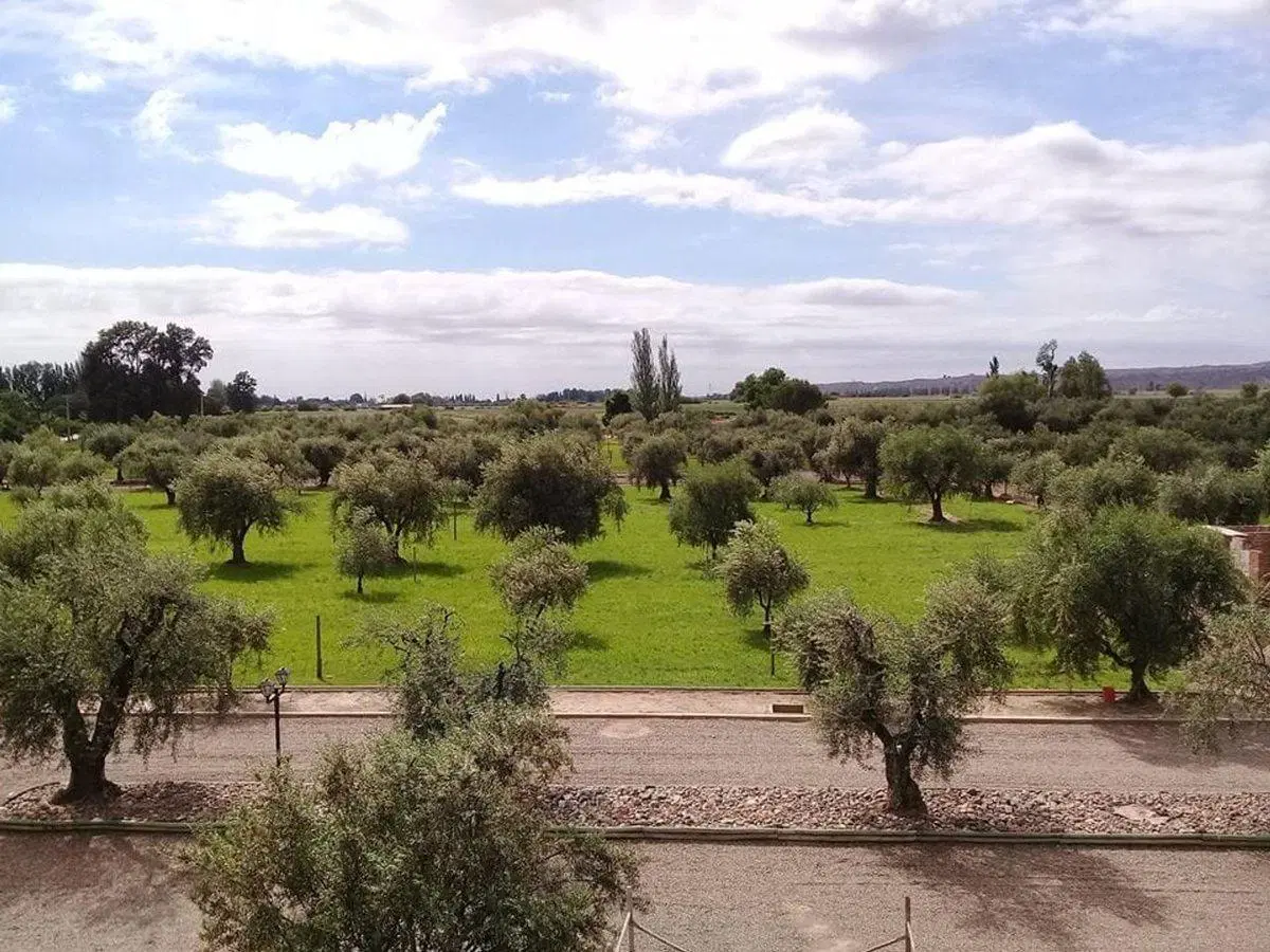 Casa en Venta - Bº Olivos de Furlotti - Lujan 3