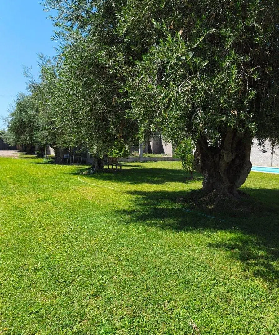 VENTA CASA EN OBRA GRUESA COQUIMBITO 2