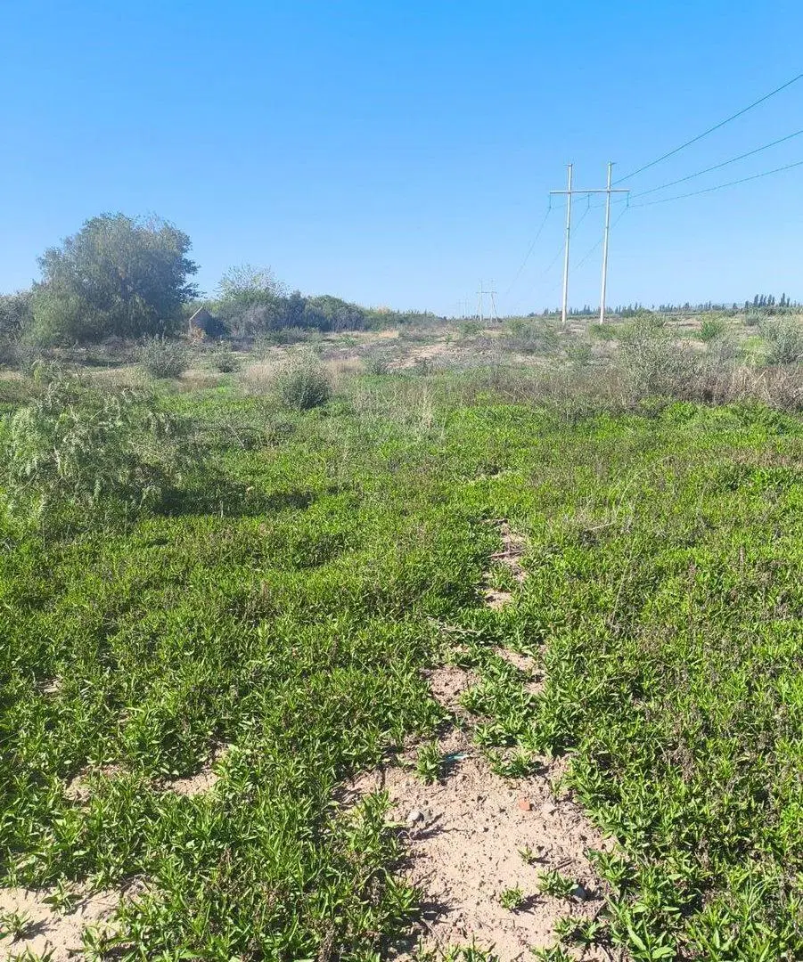 Venta de terreno Coquimbito,  ideal inversionistas 4