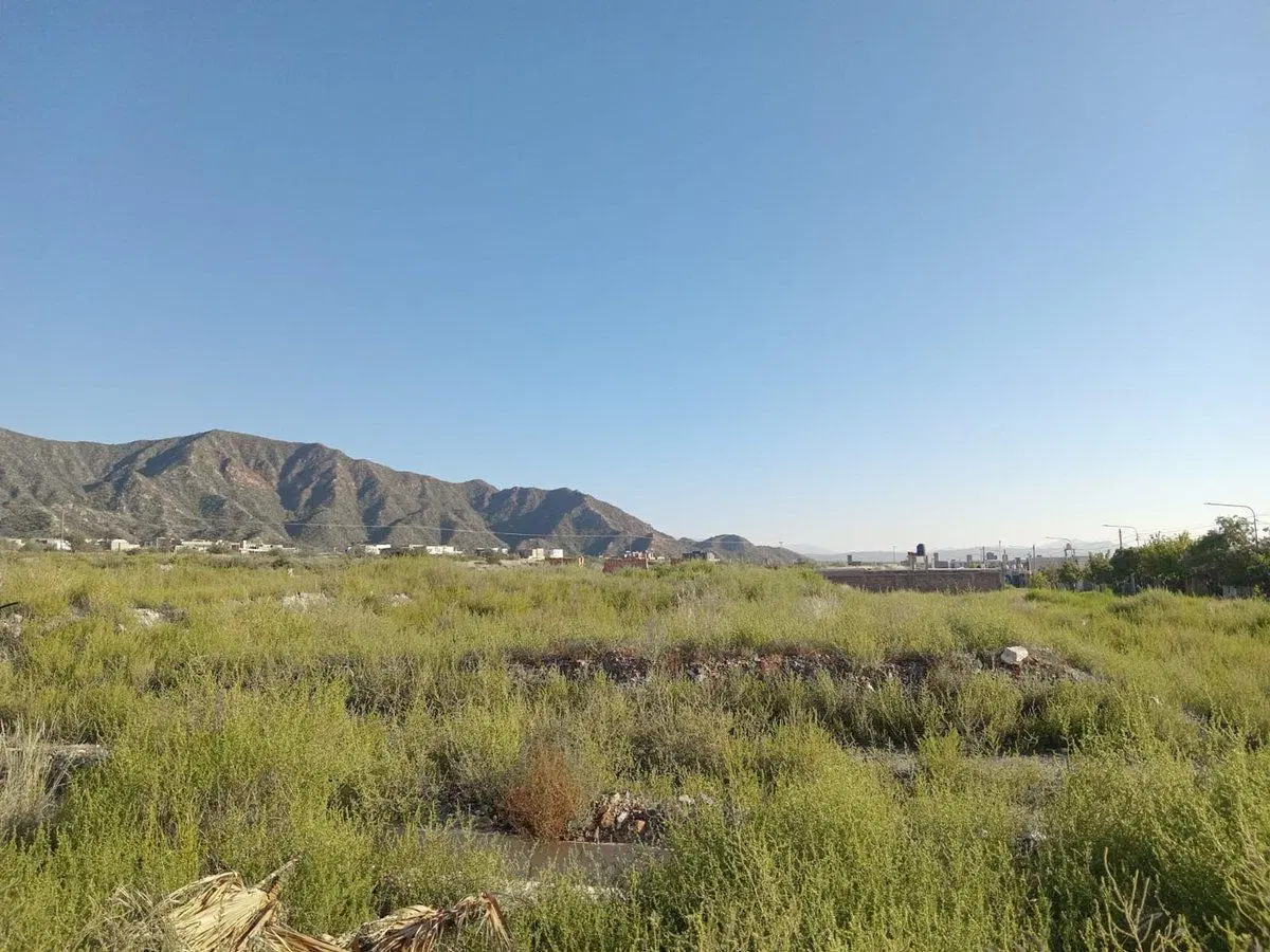 LOTE AMPLIO EL CHALLAO EN VENTA 5